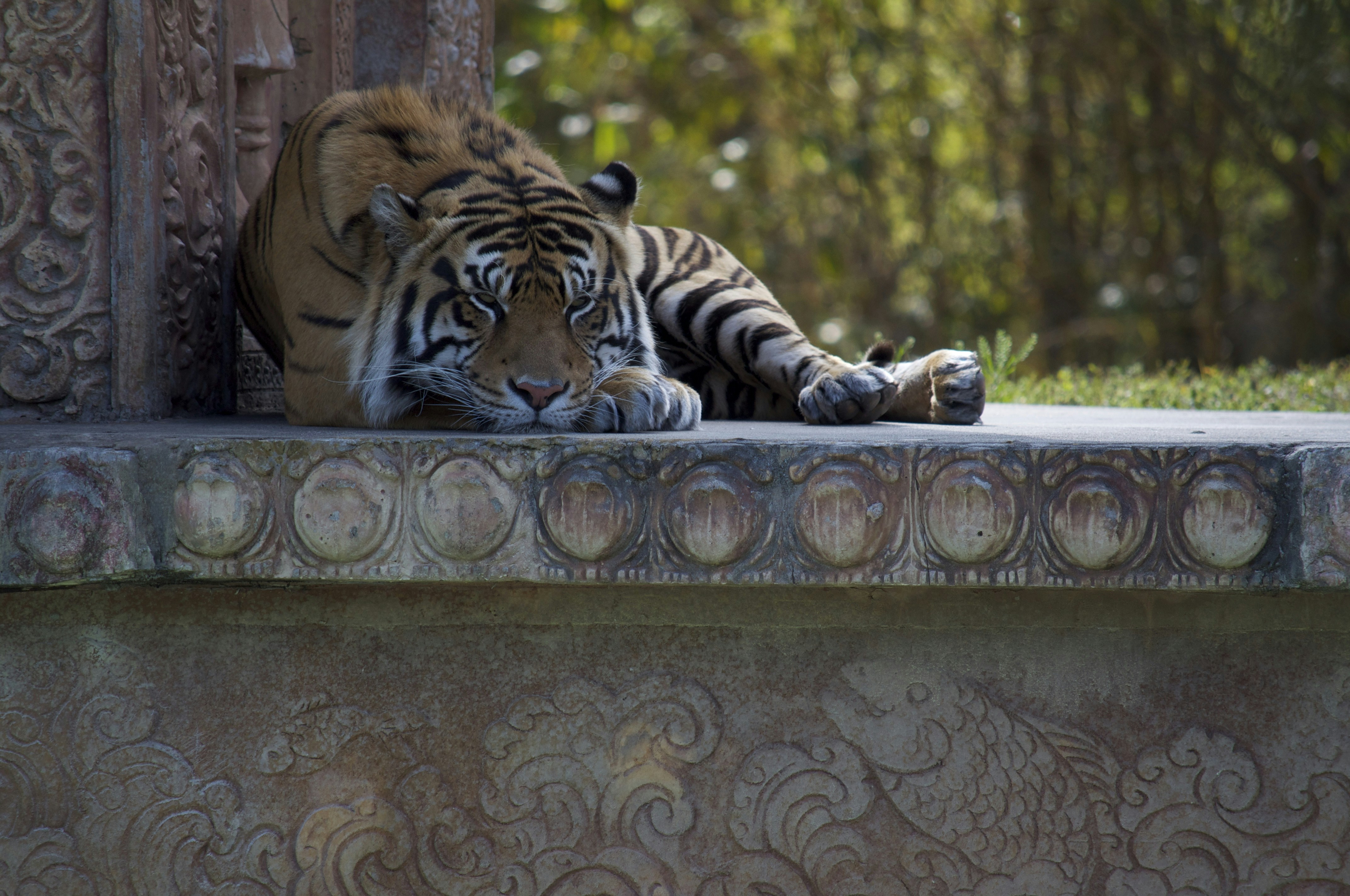 Free Unsplash photo from Lucy Pinon