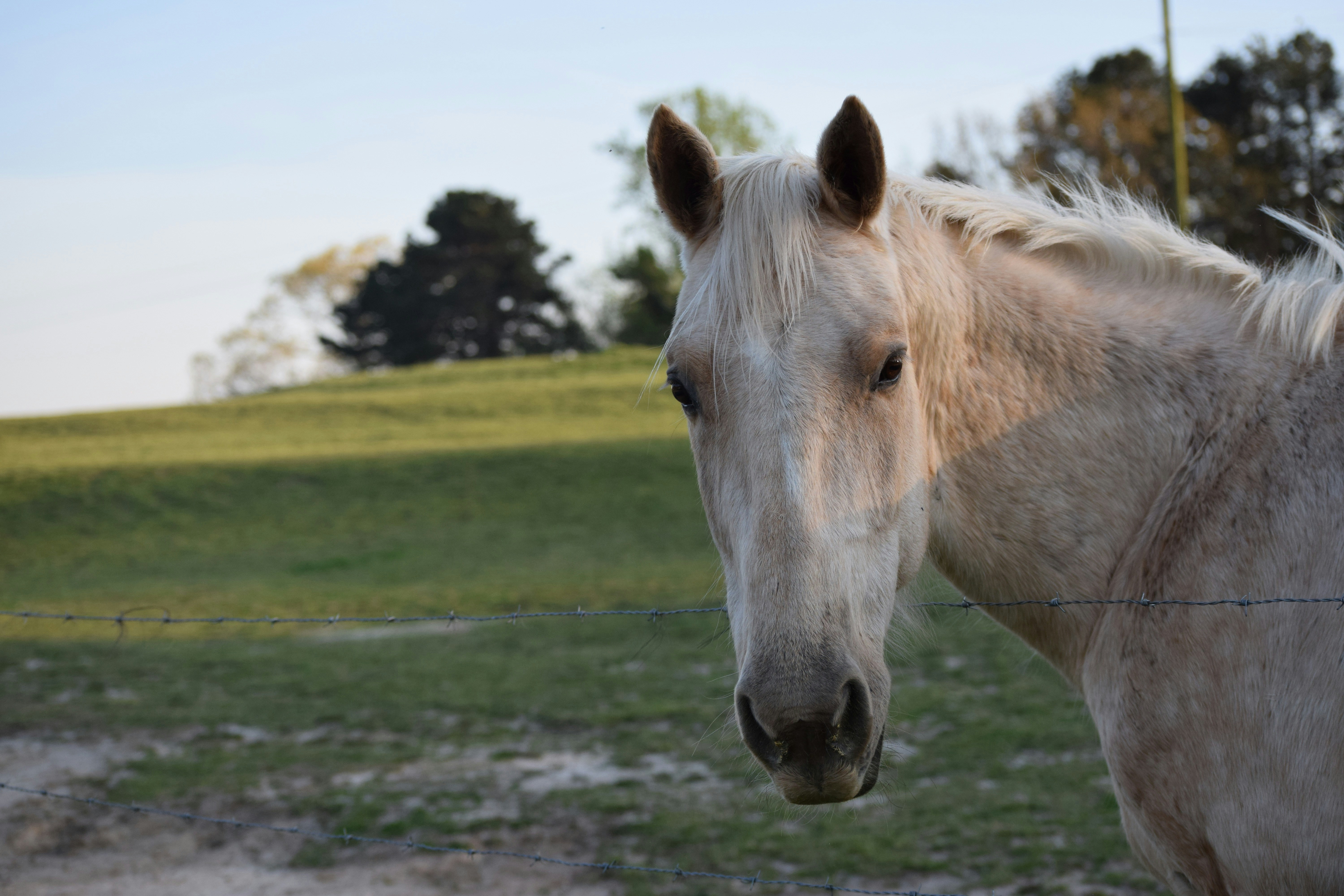 Free Unsplash photo from Marifer