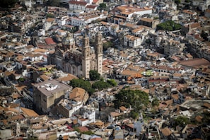 bird's-eye photography of city