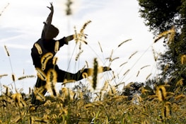 A silhouette of a person gracefully dancing in a field of tall grasses, against a backdrop of a clear sky. The sunlight creates a bright and serene atmosphere, illuminating the grass and casting playful shadows.