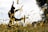 A silhouette of a person gracefully dancing in a field of tall grasses, against a backdrop of a clear sky. The sunlight creates a bright and serene atmosphere, illuminating the grass and casting playful shadows.