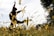 A silhouette of a person gracefully dancing in a field of tall grasses, against a backdrop of a clear sky. The sunlight creates a bright and serene atmosphere, illuminating the grass and casting playful shadows.