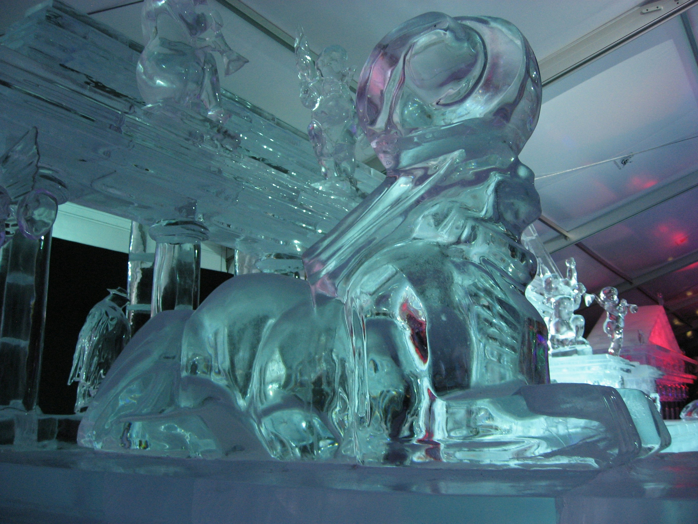 Free Unsplash photo from Mariana Rodriguez