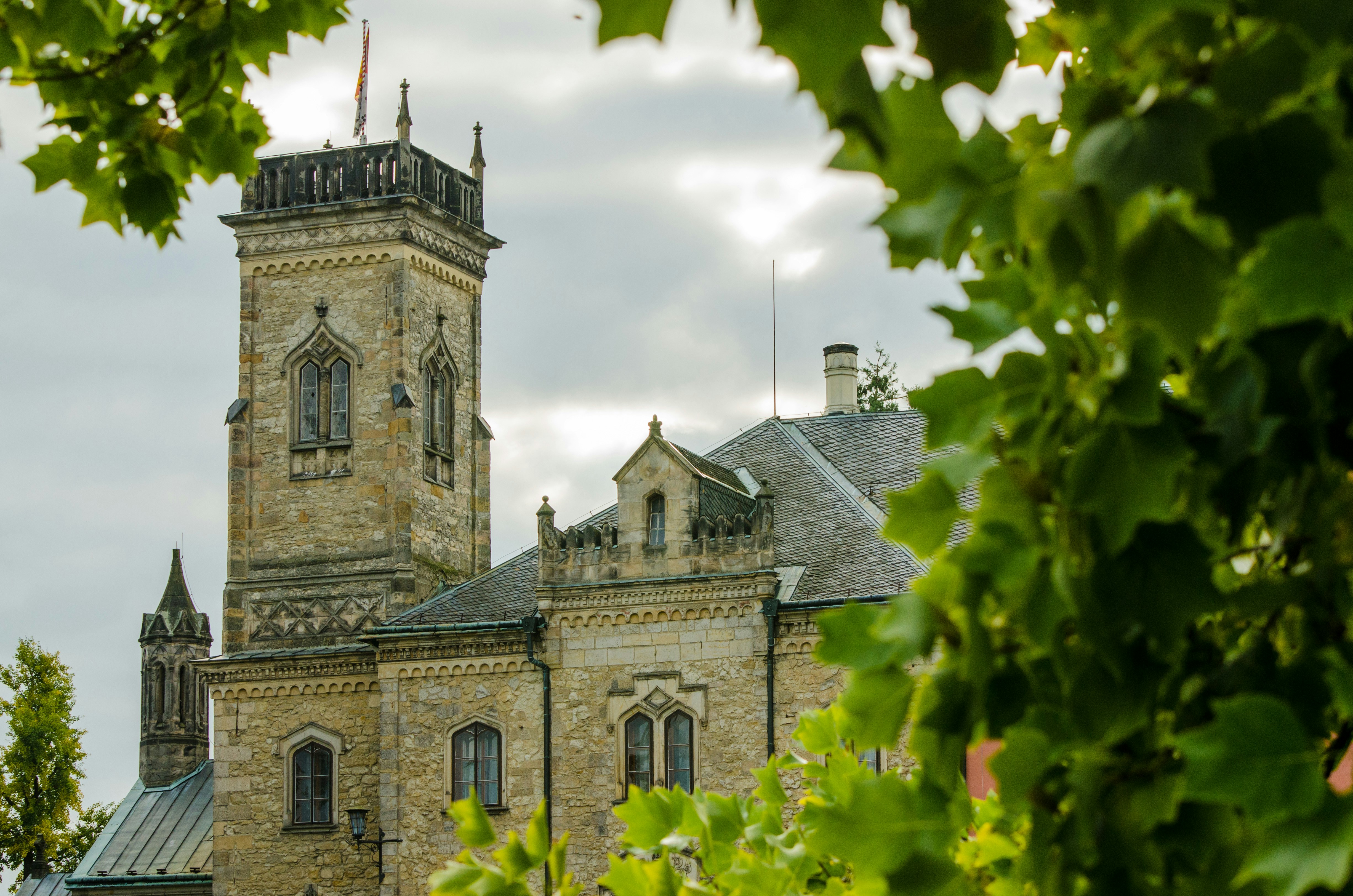 Free Unsplash photo from Jiřina Dundová