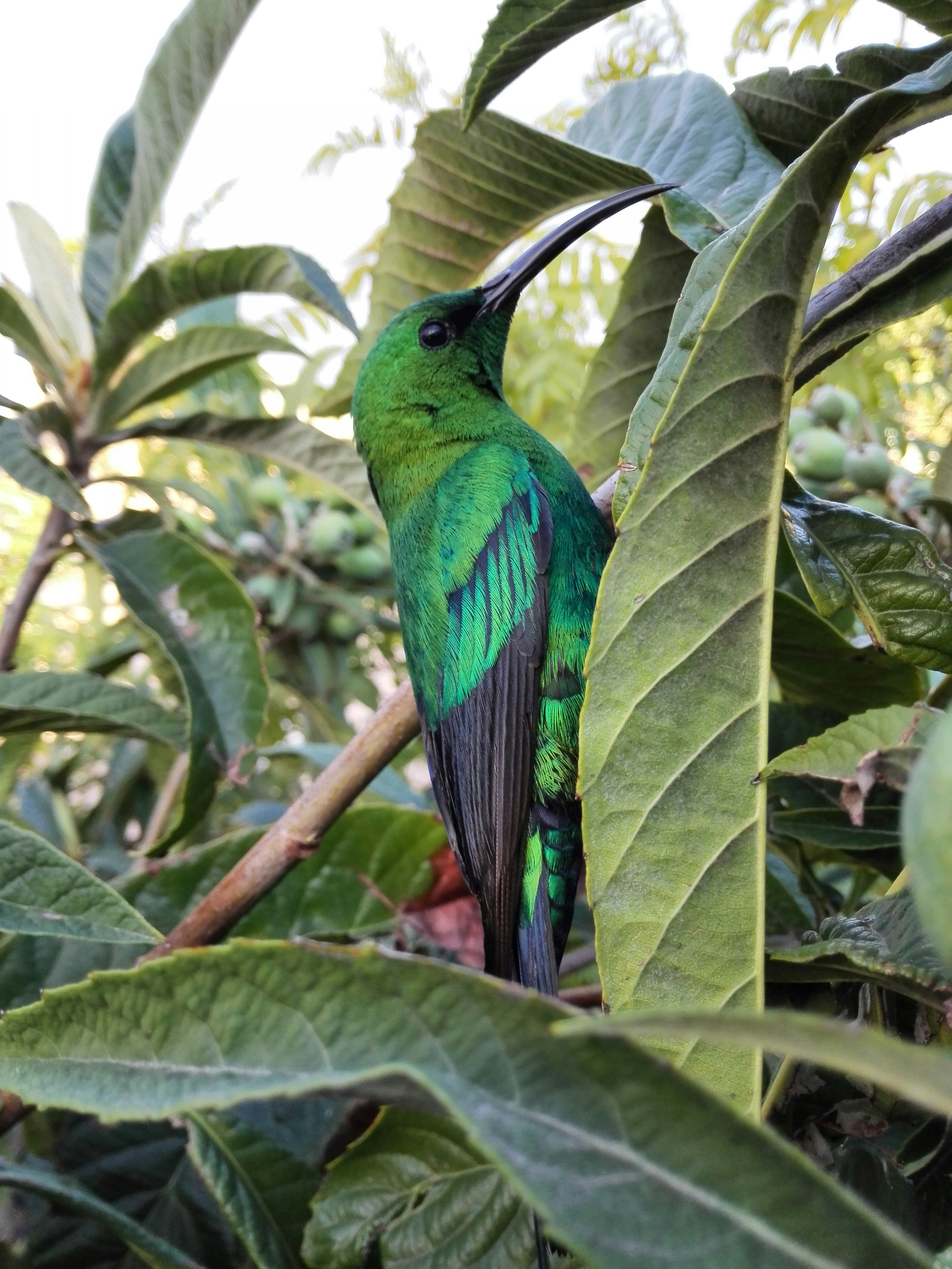 Free Unsplash photo from Allistaire de Koker