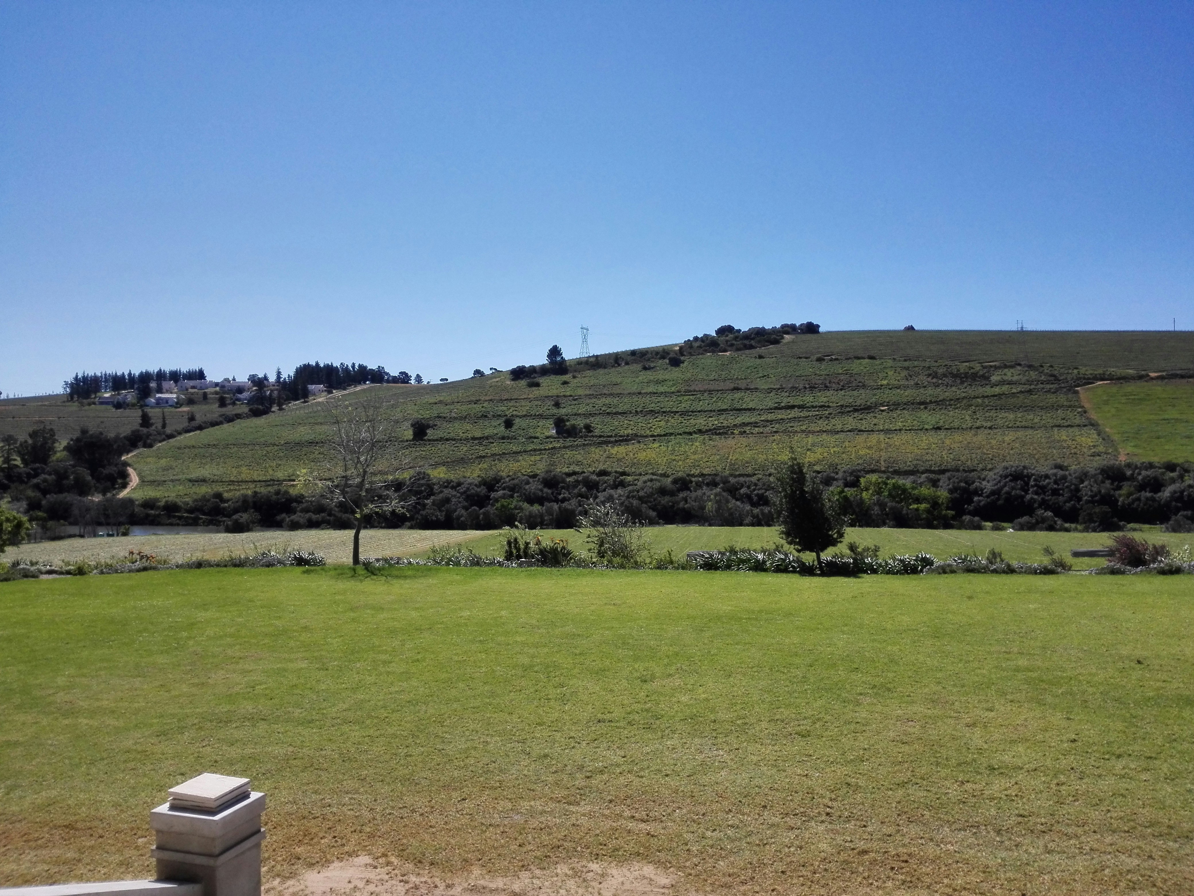 Free Unsplash photo from Allistaire de Koker