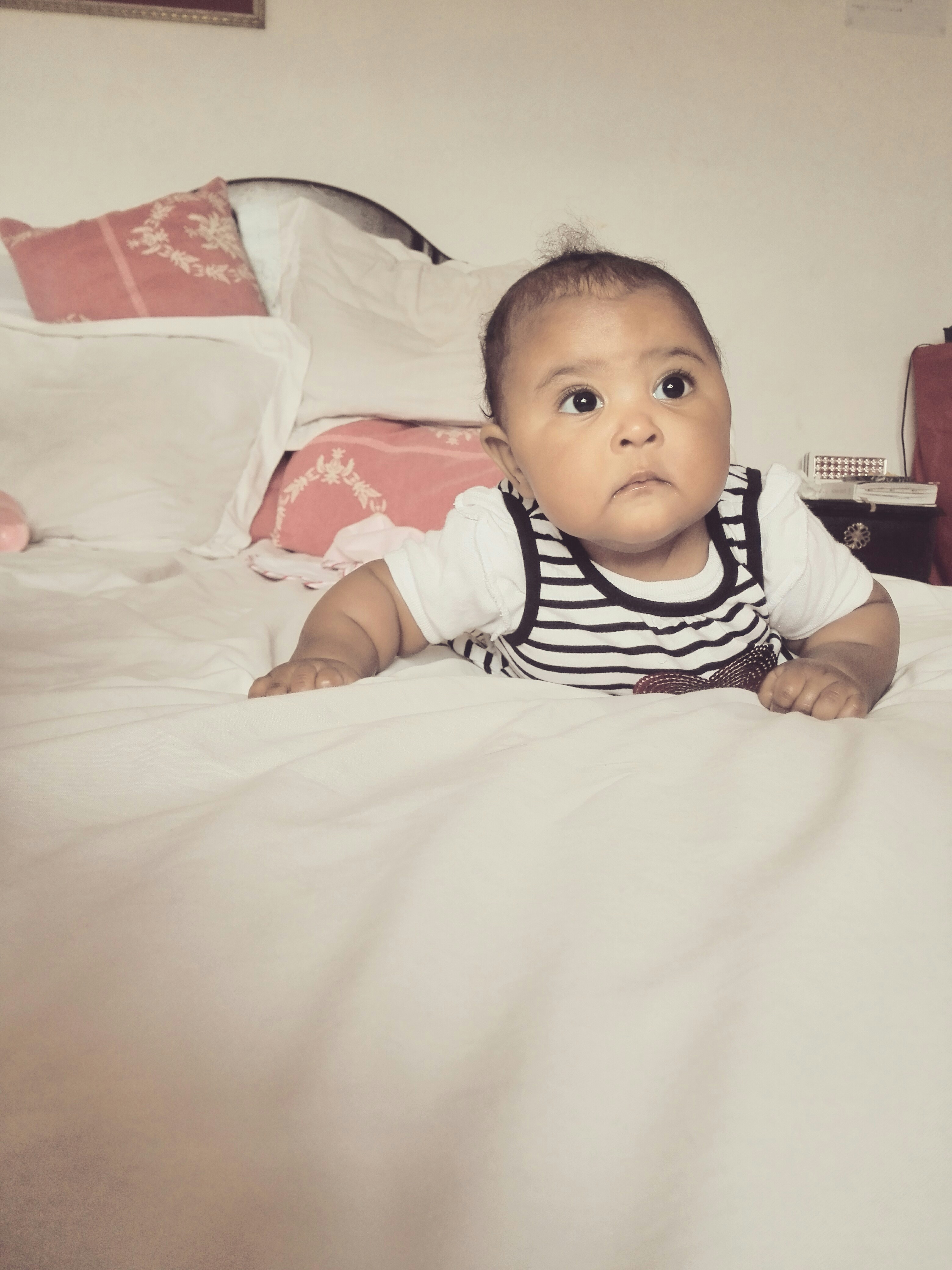 Free Unsplash photo from Allistaire de Koker