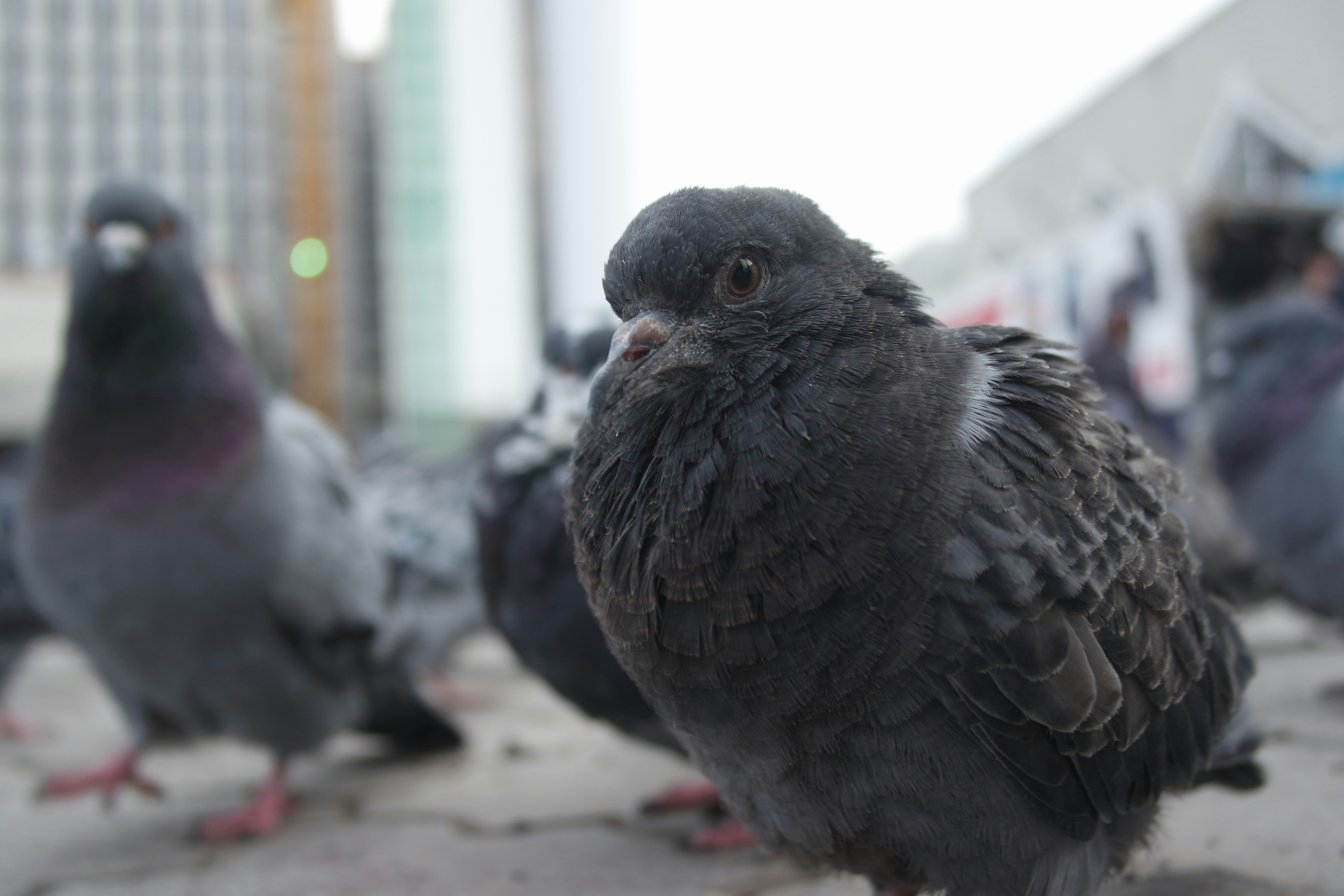 Free Unsplash photo from Polina Smolnikova