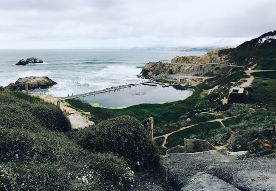 green grasses in Sutro Baths United States