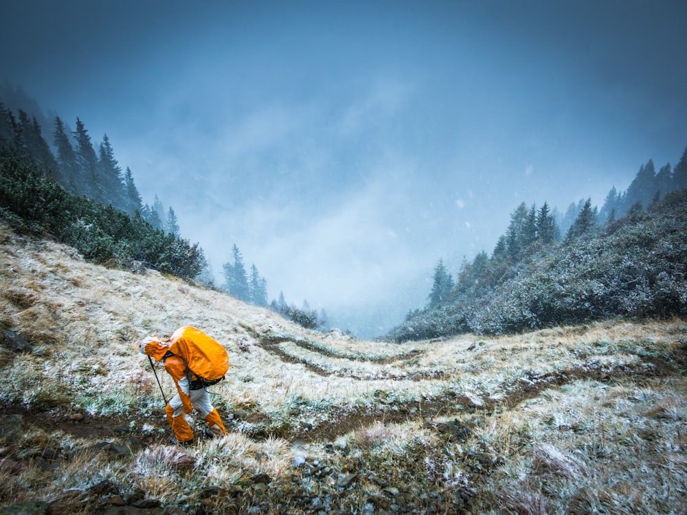 Person, die tagsüber auf dem Berg spazieren geht