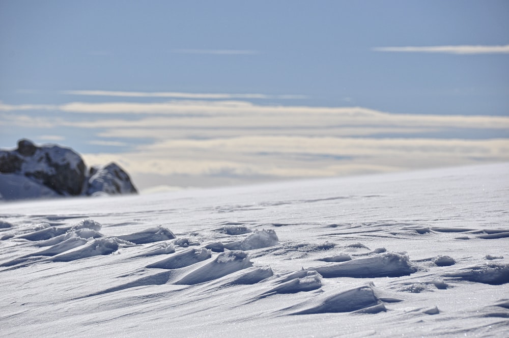 landscape photo of snows during daytime