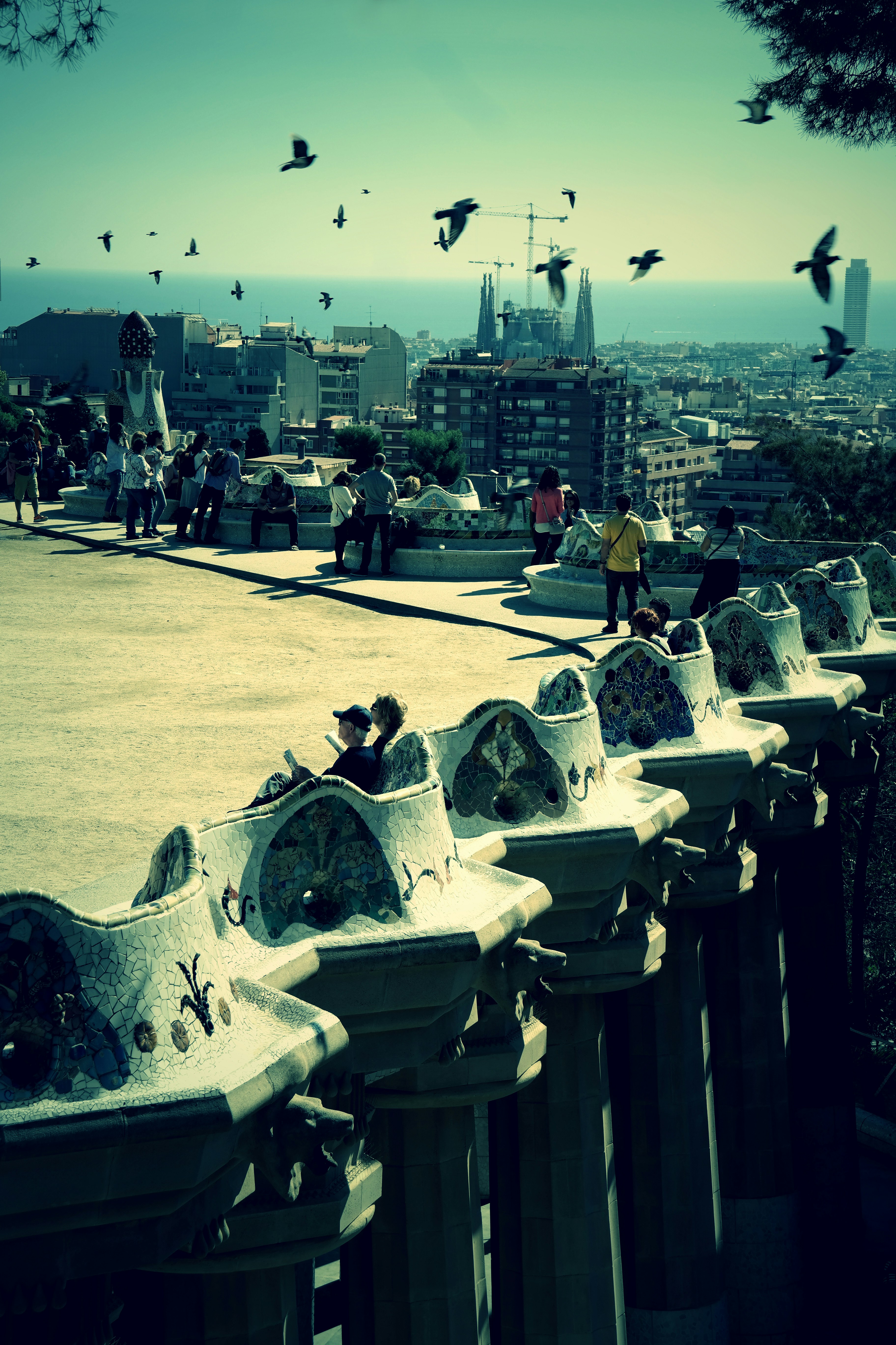 Free Unsplash photo from Renata Hritzová