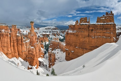 aerial photo of brown rock formations