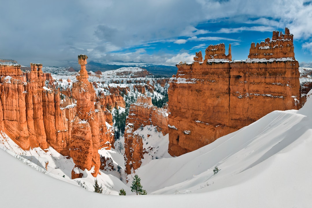 aerial photo of brown rock formations