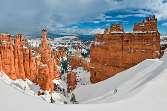 aerial photo of brown rock formations in Bryce Canyon United States