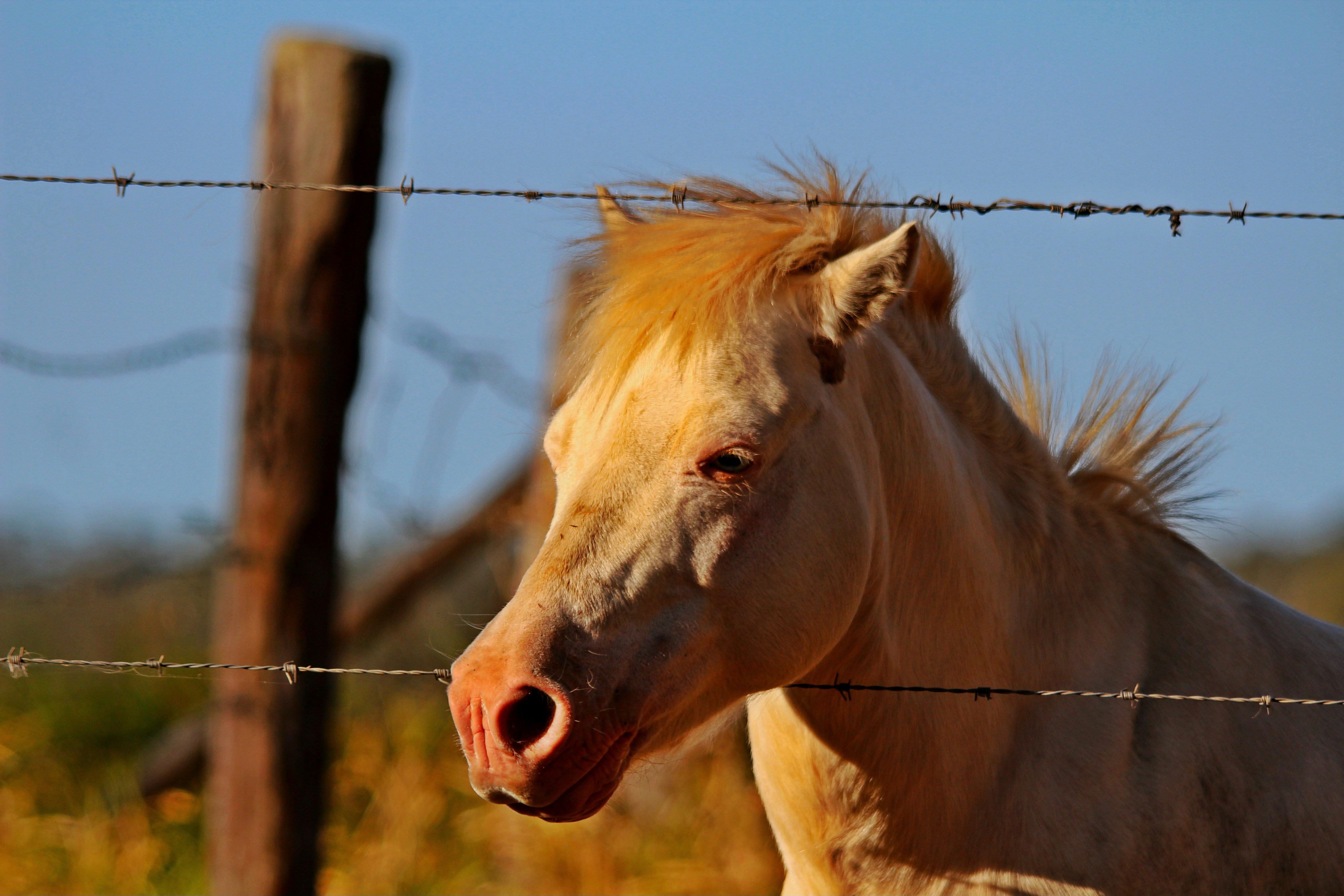 Free Unsplash photo from Queen Jess