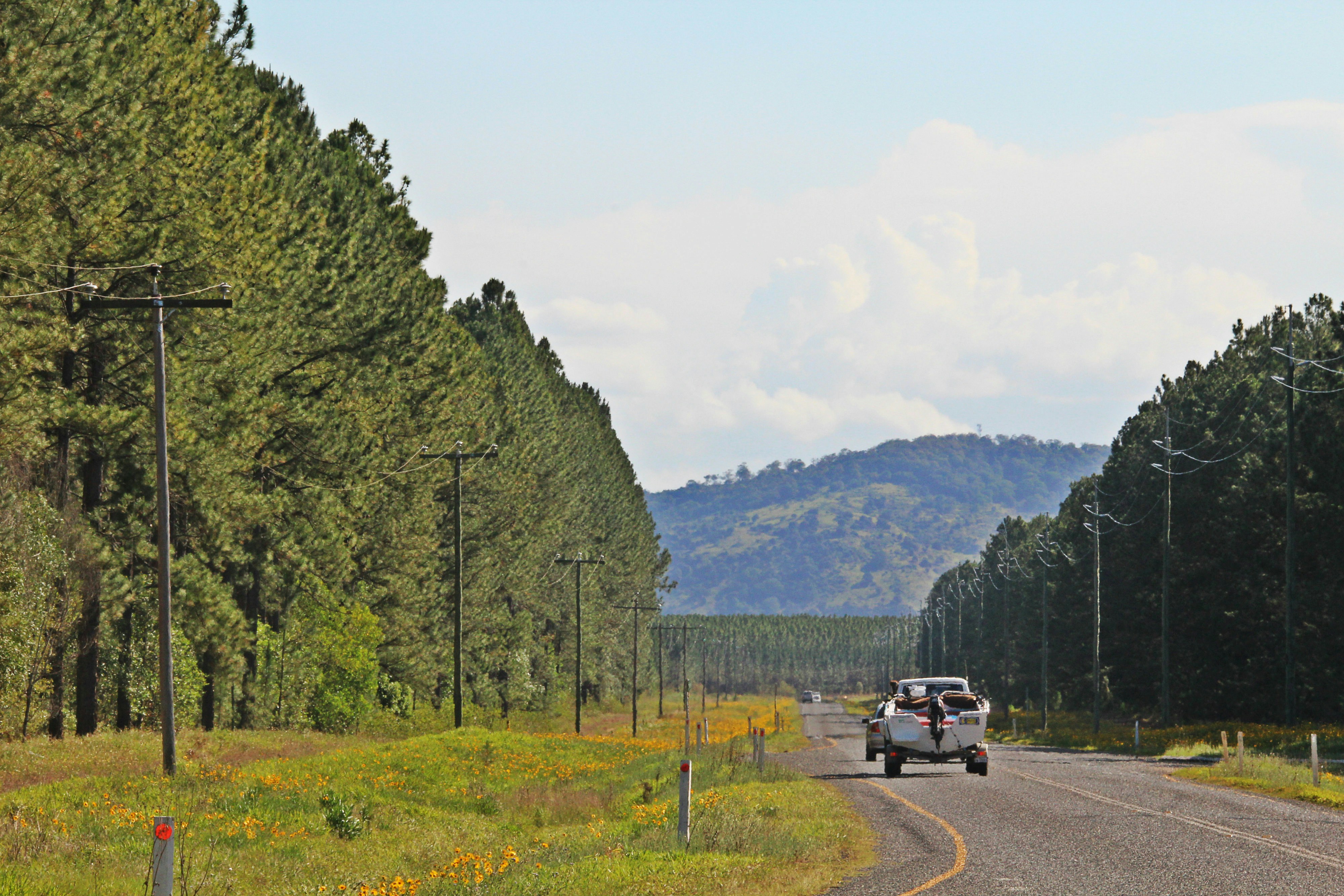 Free Unsplash photo from Queen Jess