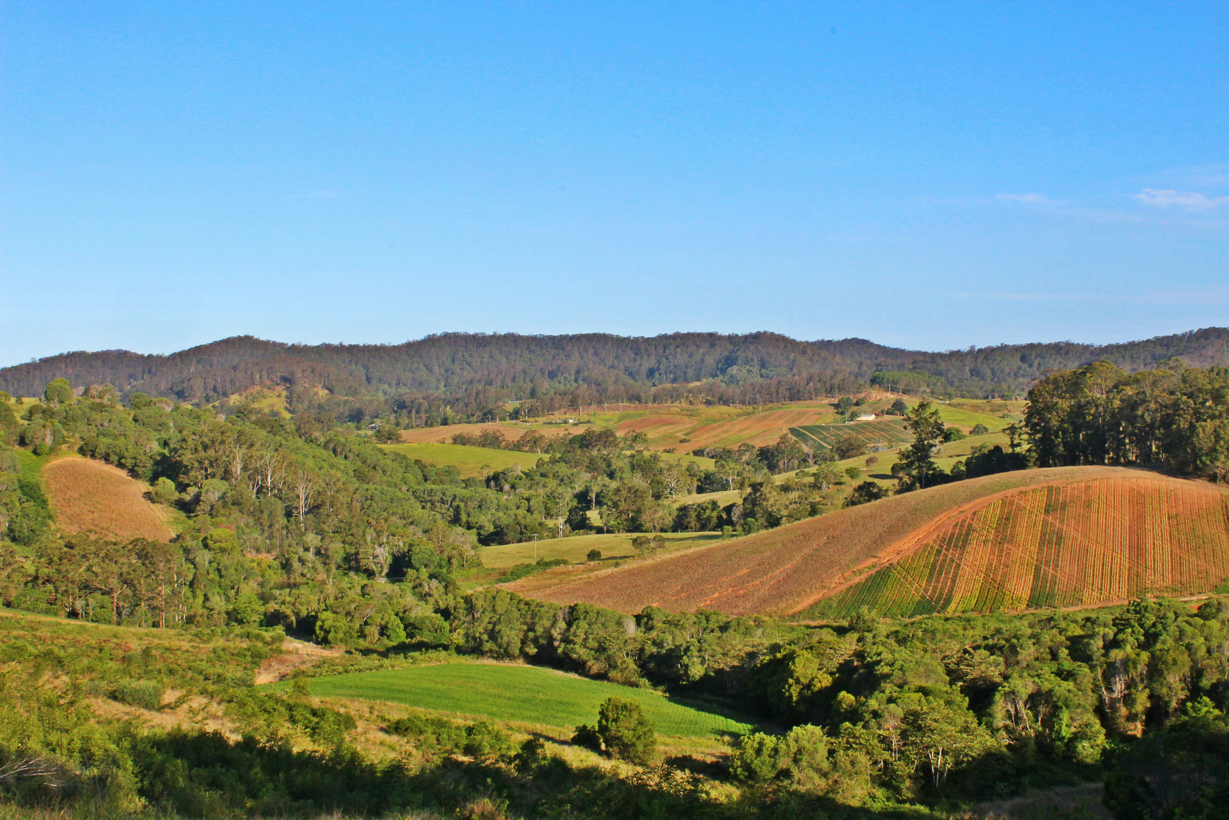 Free Unsplash photo from Queen Jess