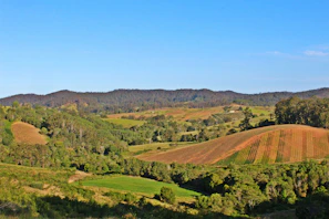 Rolling hills and farms representing the interior provinces of Argentina under a broad blue sky.