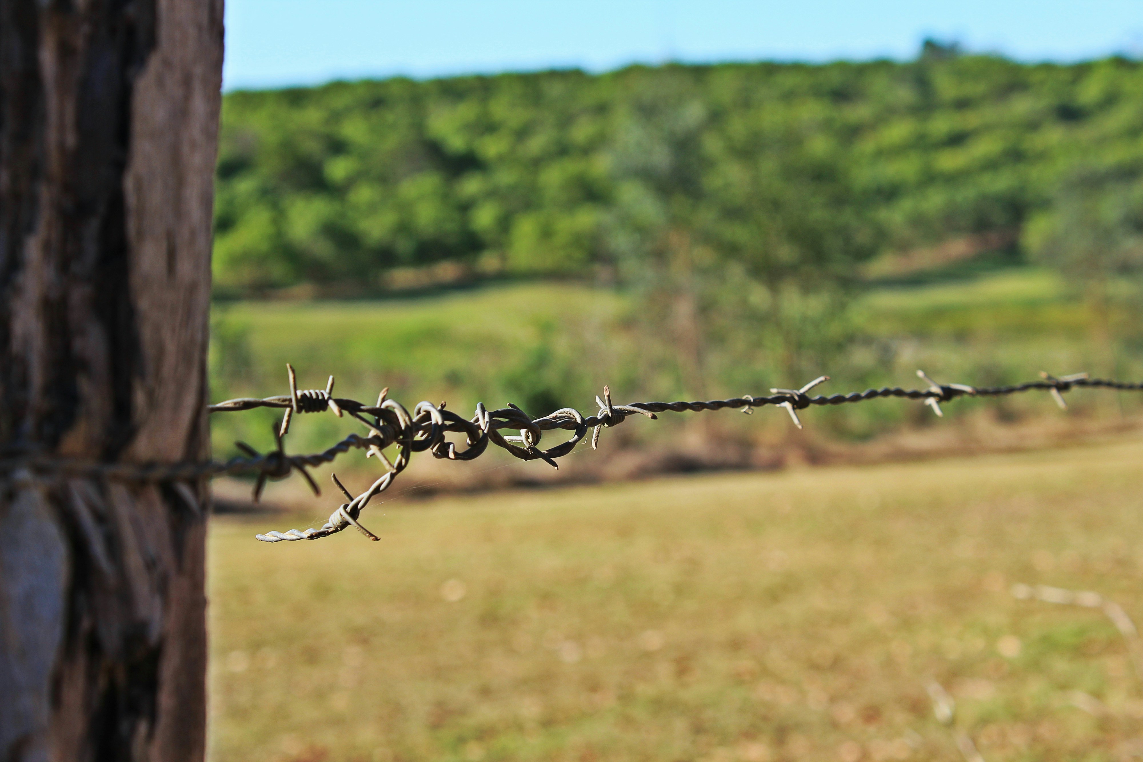 Free Unsplash photo from Queen Jess