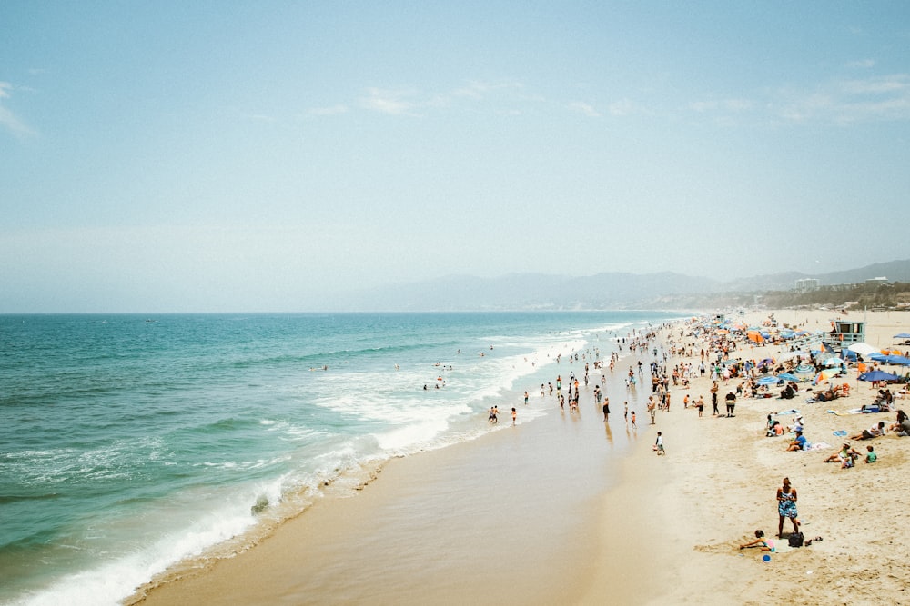 group of people near beach