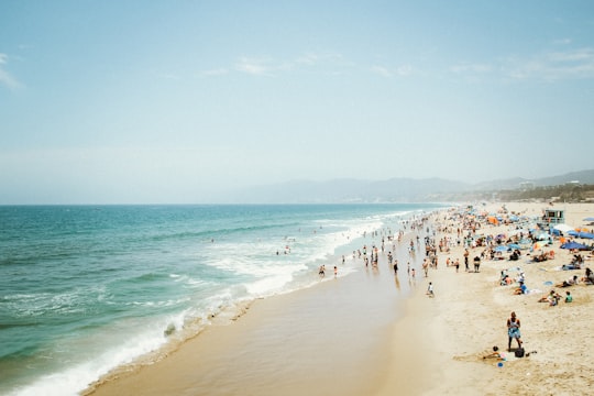 Palisades Park things to do in Santa Monica Beach