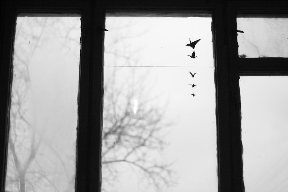 a flock of birds flying over a tree outside of a window