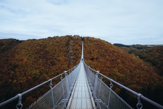 person walking on white hanging bridge during daytime