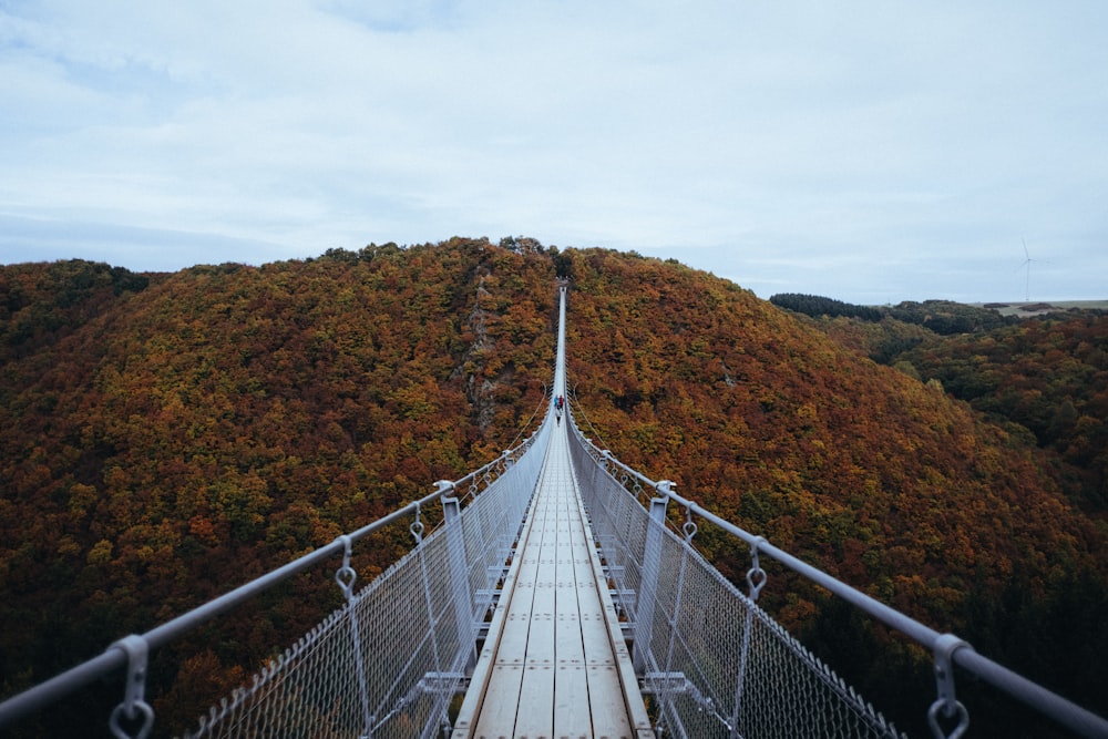 person walking on white hanging bridge during daytime