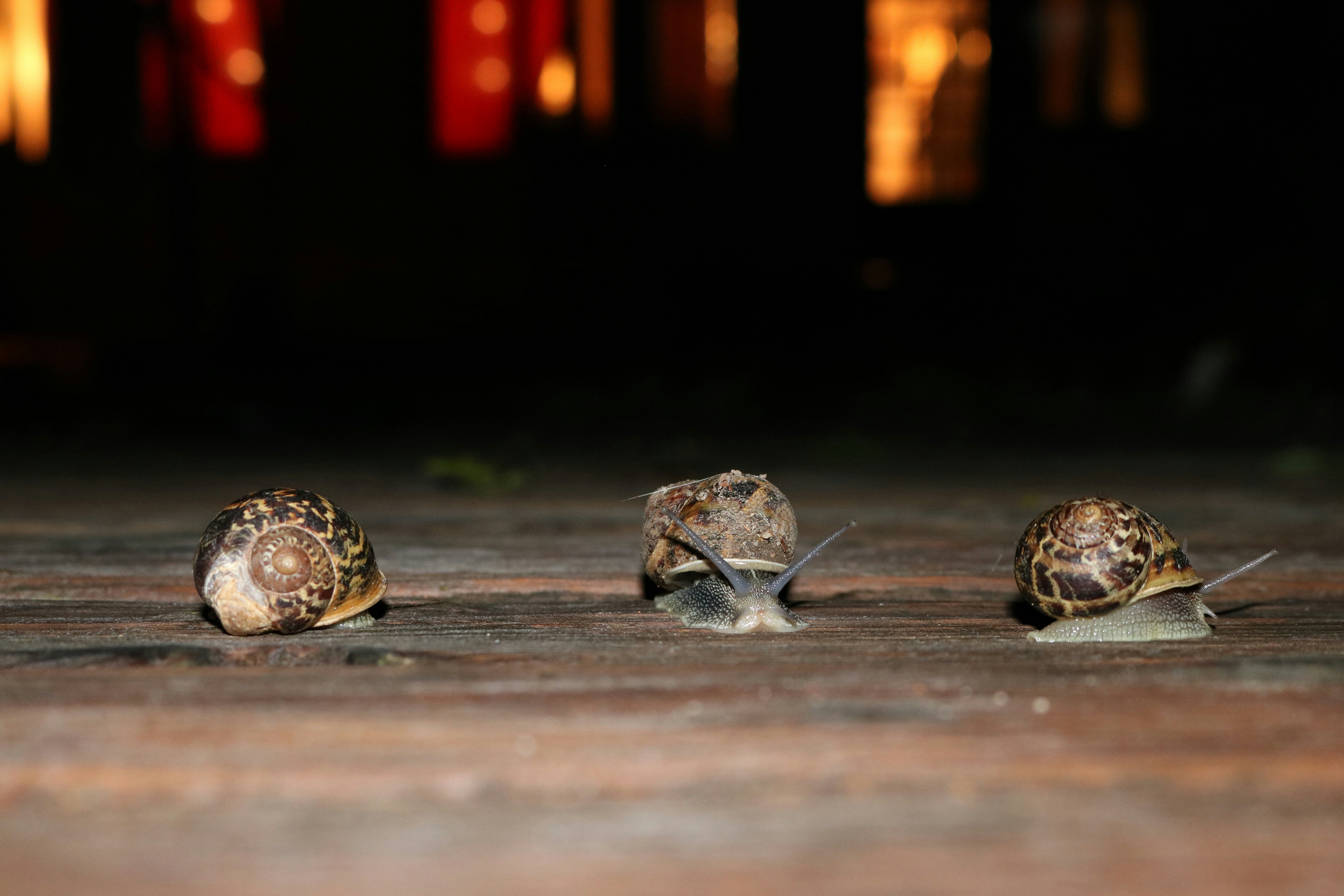 Free Unsplash photo from jean Mehat