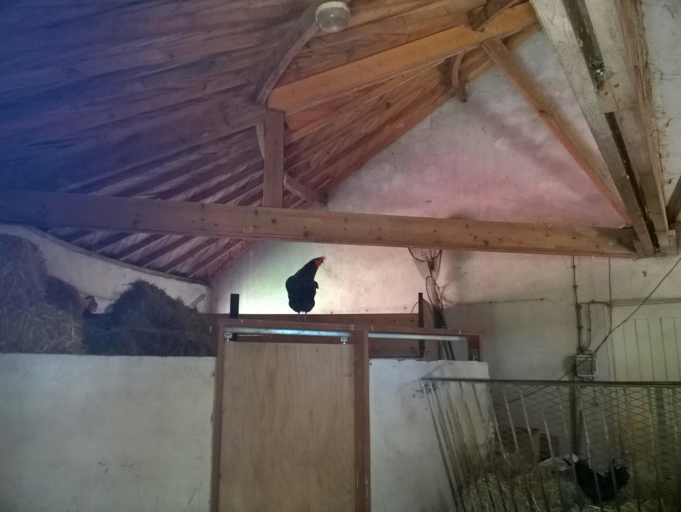 Free Unsplash photo from Wendy Parthoens