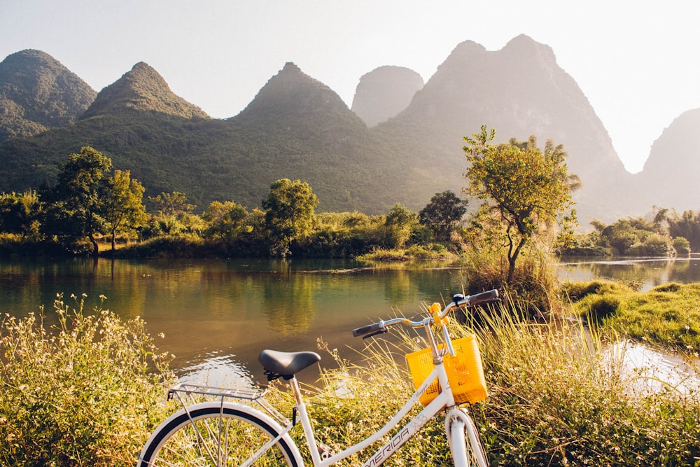 bicicleta na frente das árvores com lago