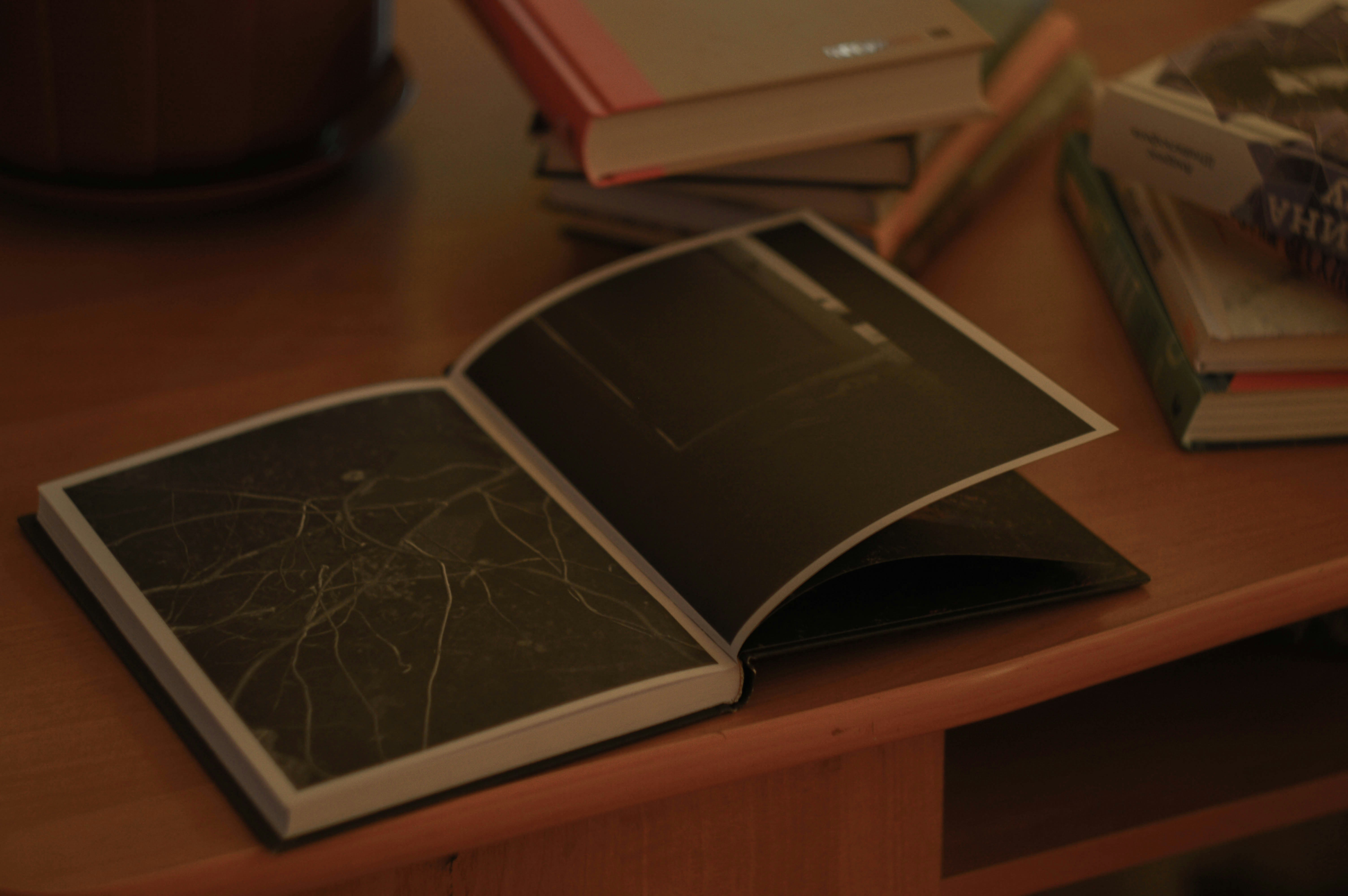 Free Unsplash photo from Mariana Vusiatytska