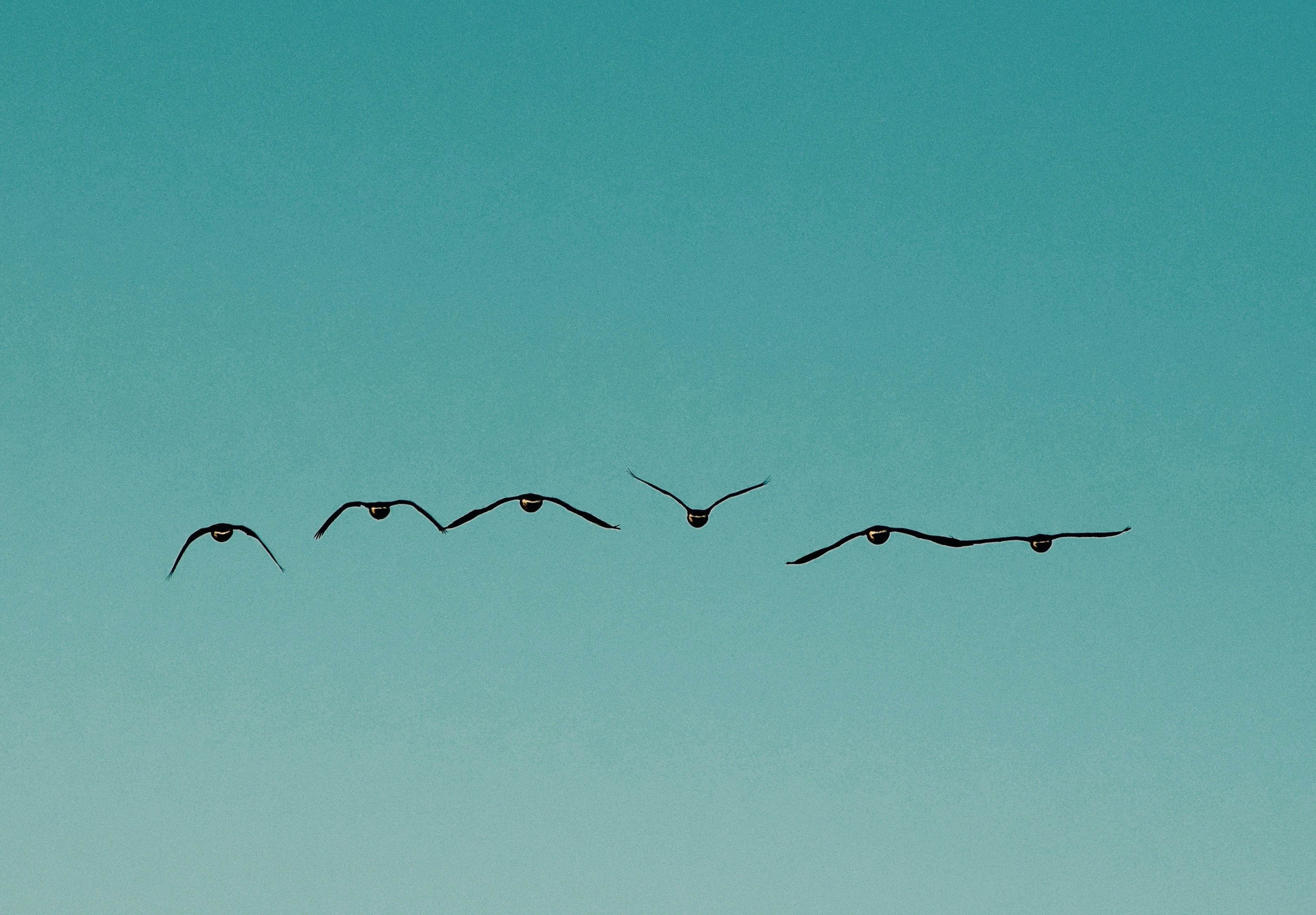 Free Unsplash photo from Marifer