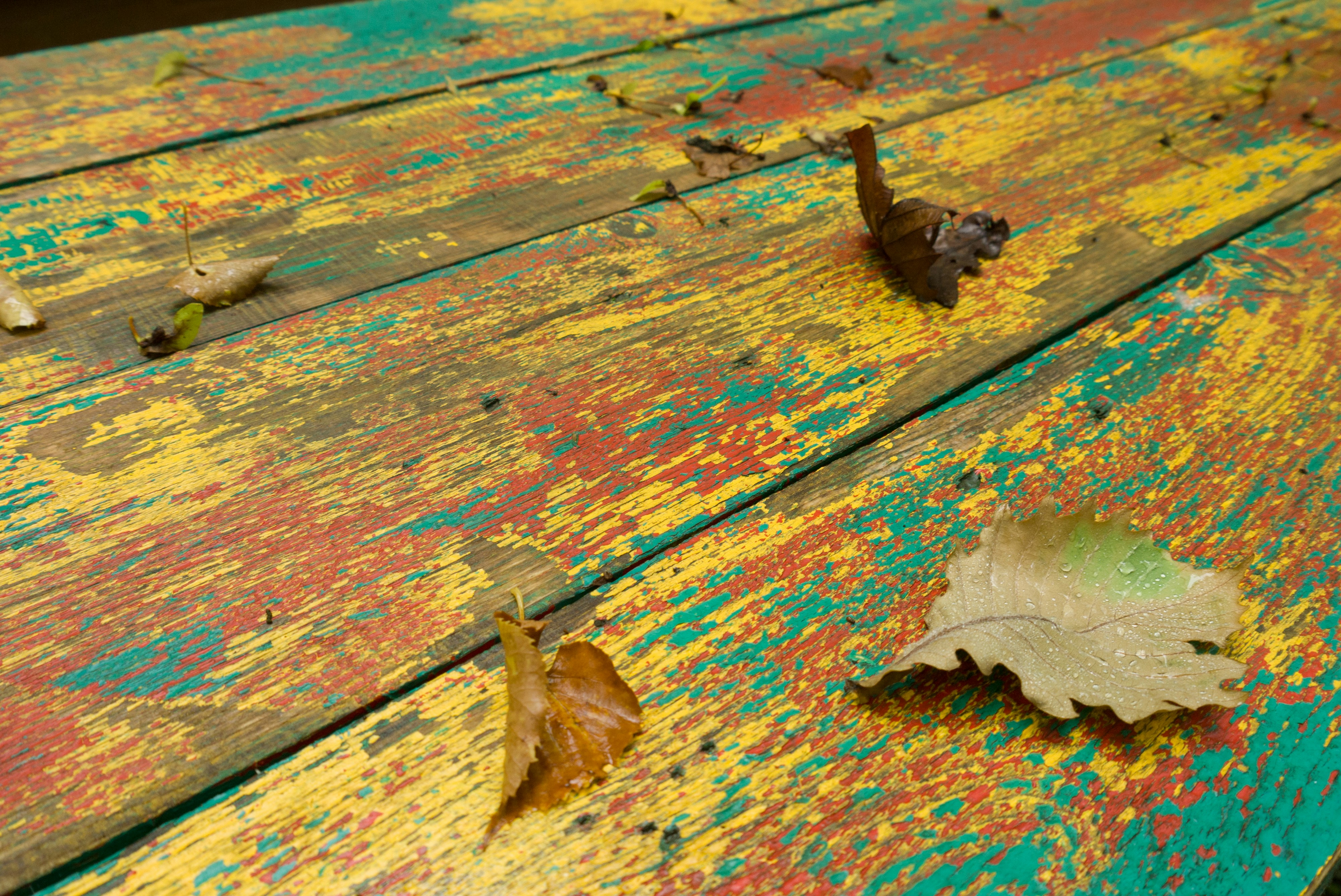 Free Unsplash photo from Анна В