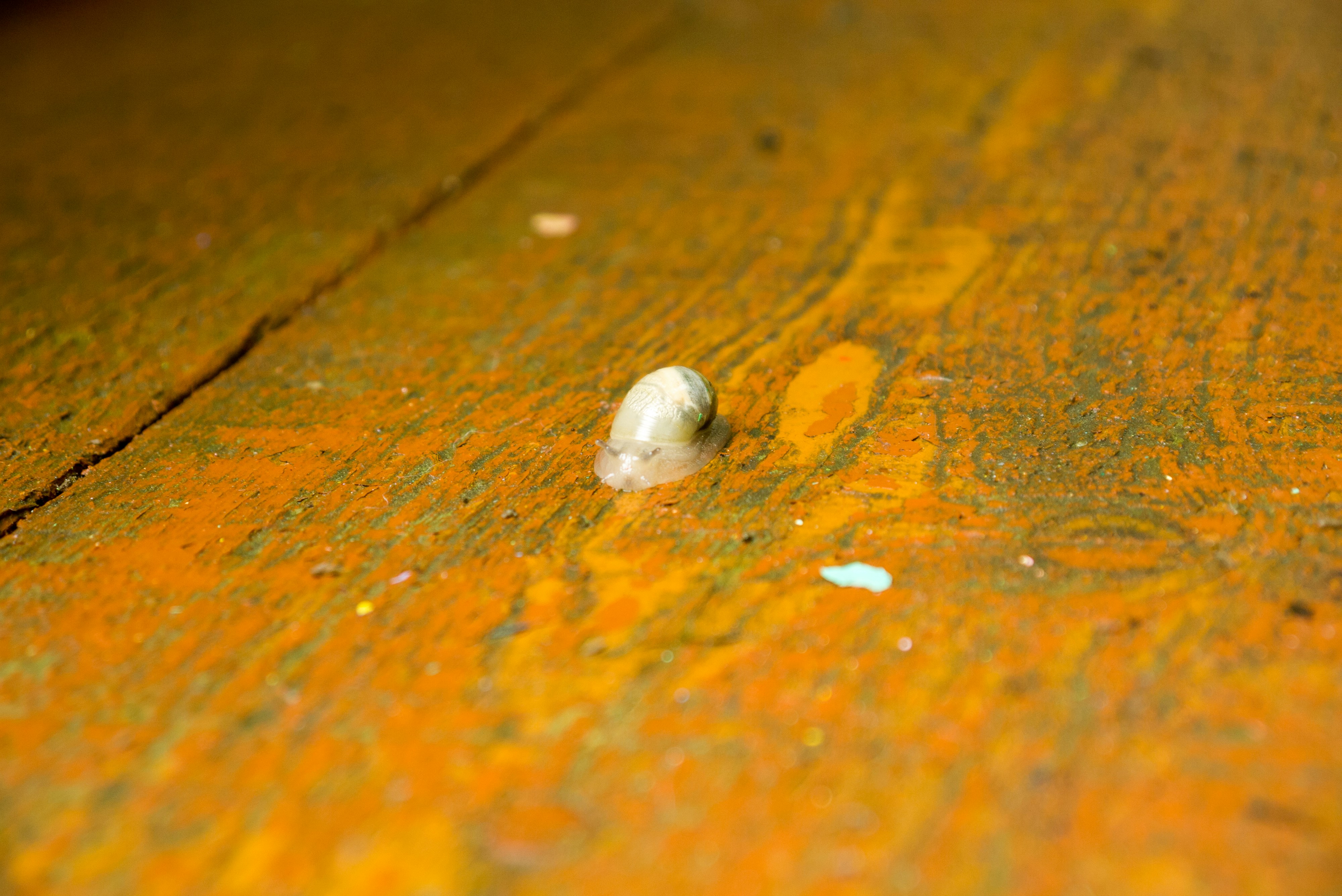 Free Unsplash photo from Анна В