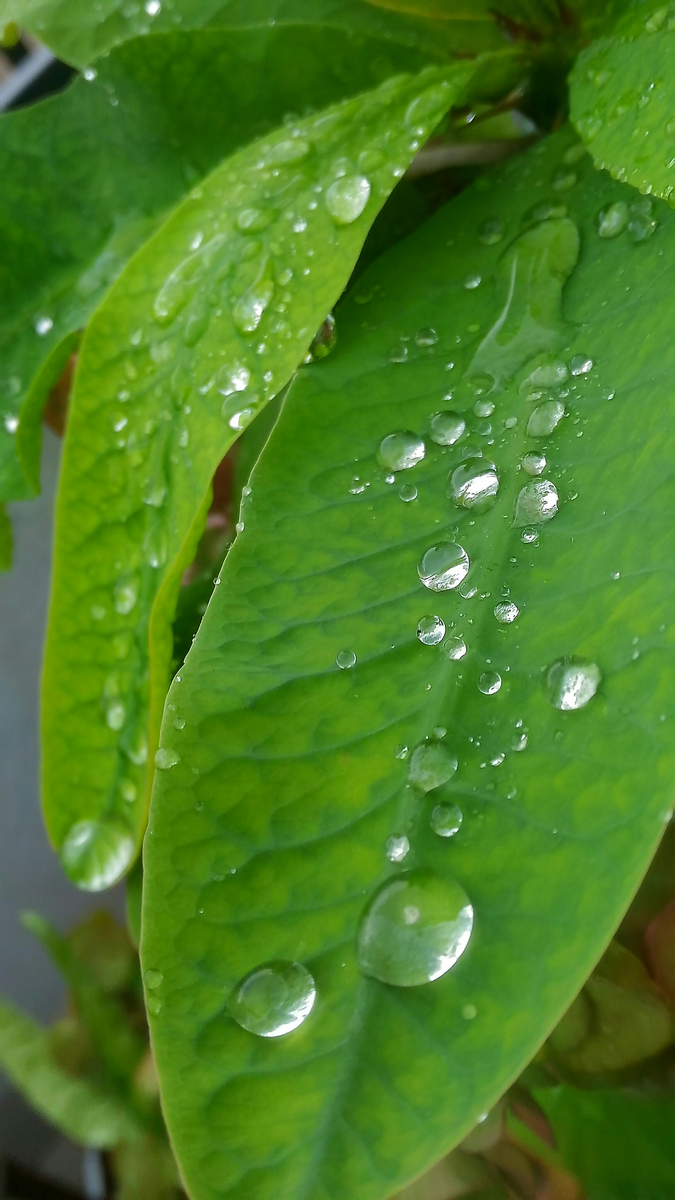 Free Unsplash photo from rahul parmar