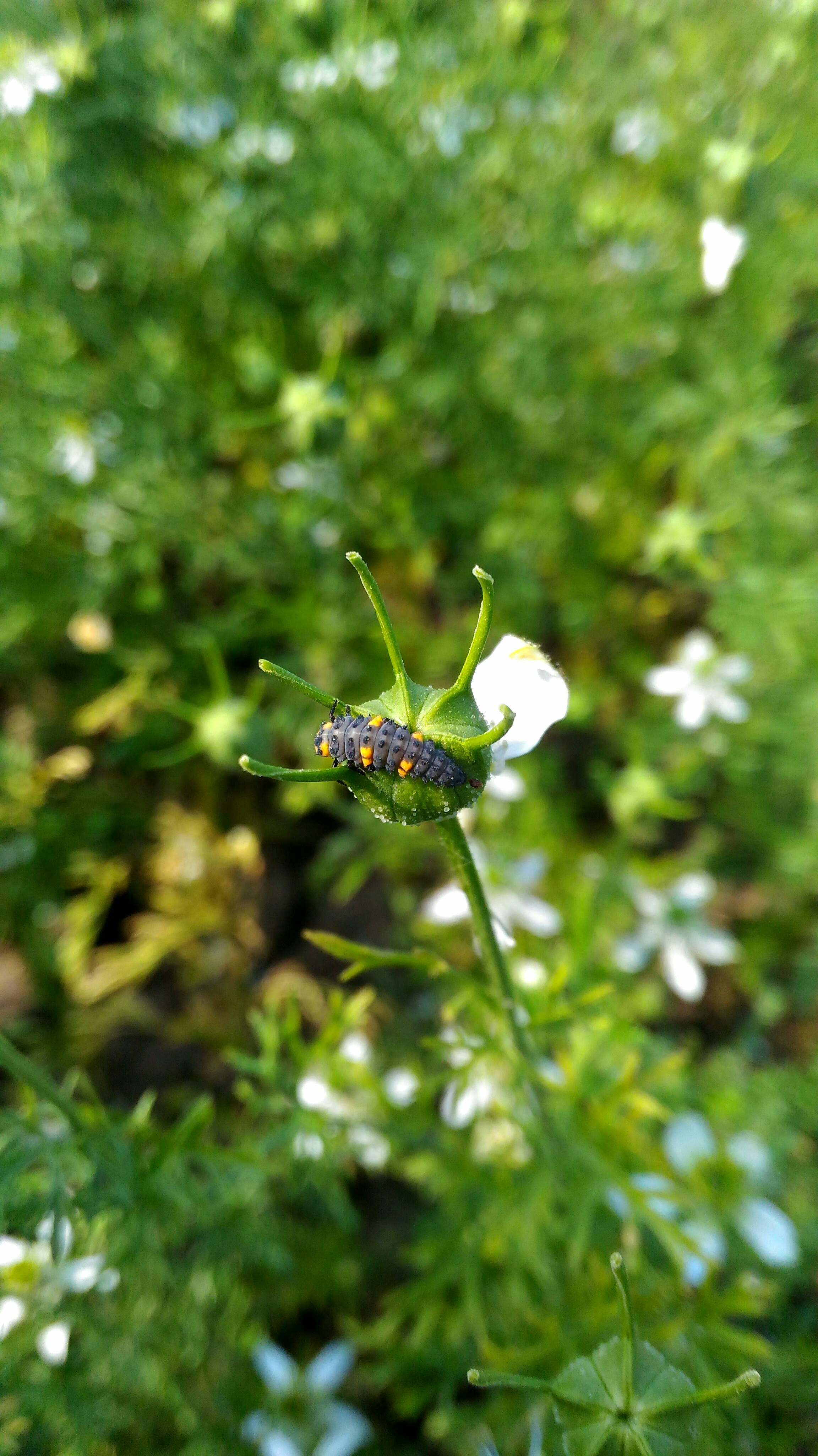 Free Unsplash photo from rahul parmar