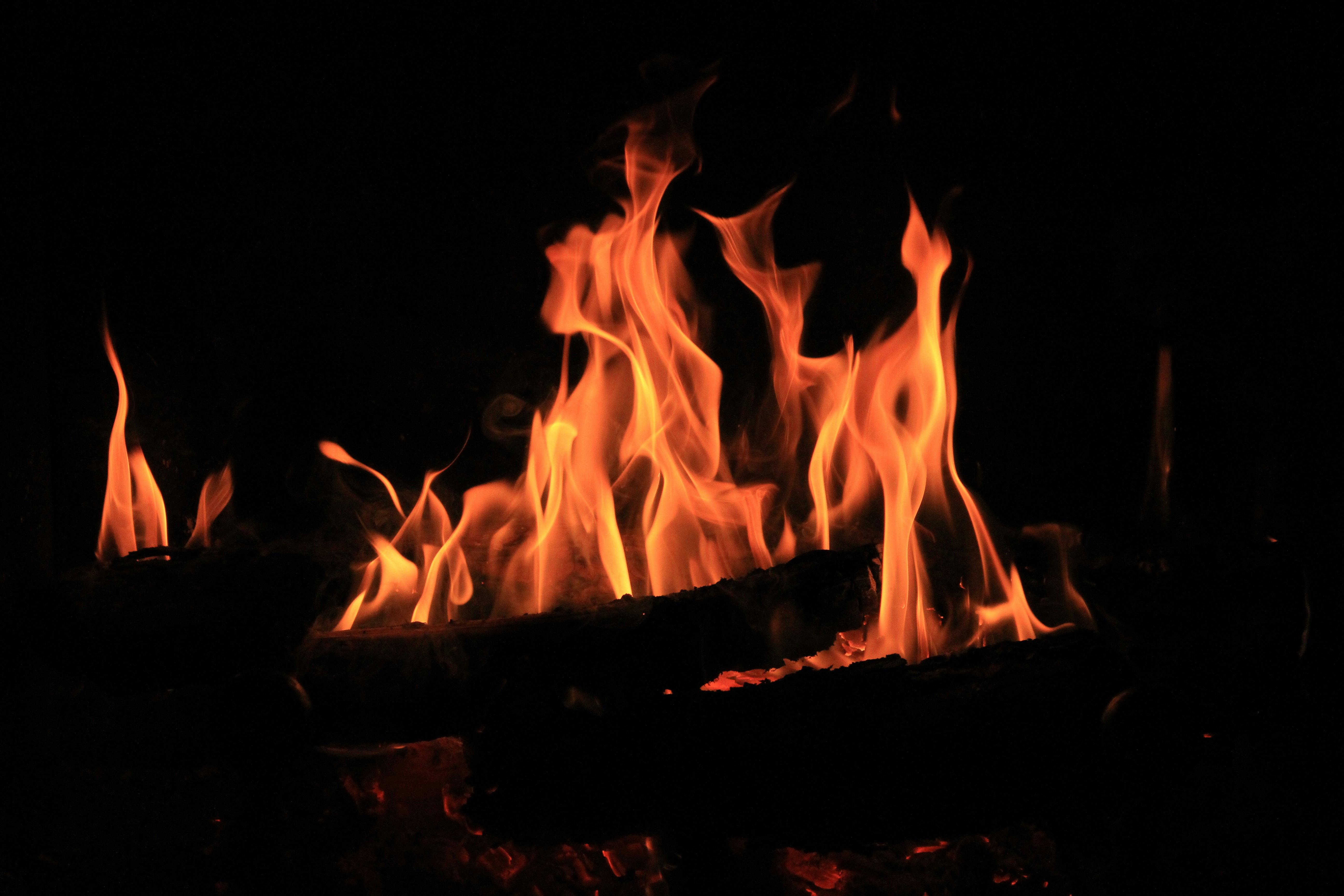 Free Unsplash photo from Roxane Réus