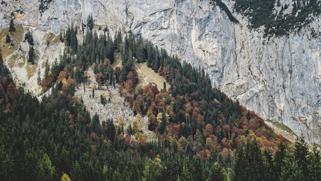 Ecoregion photo spot Gasse Tyrol