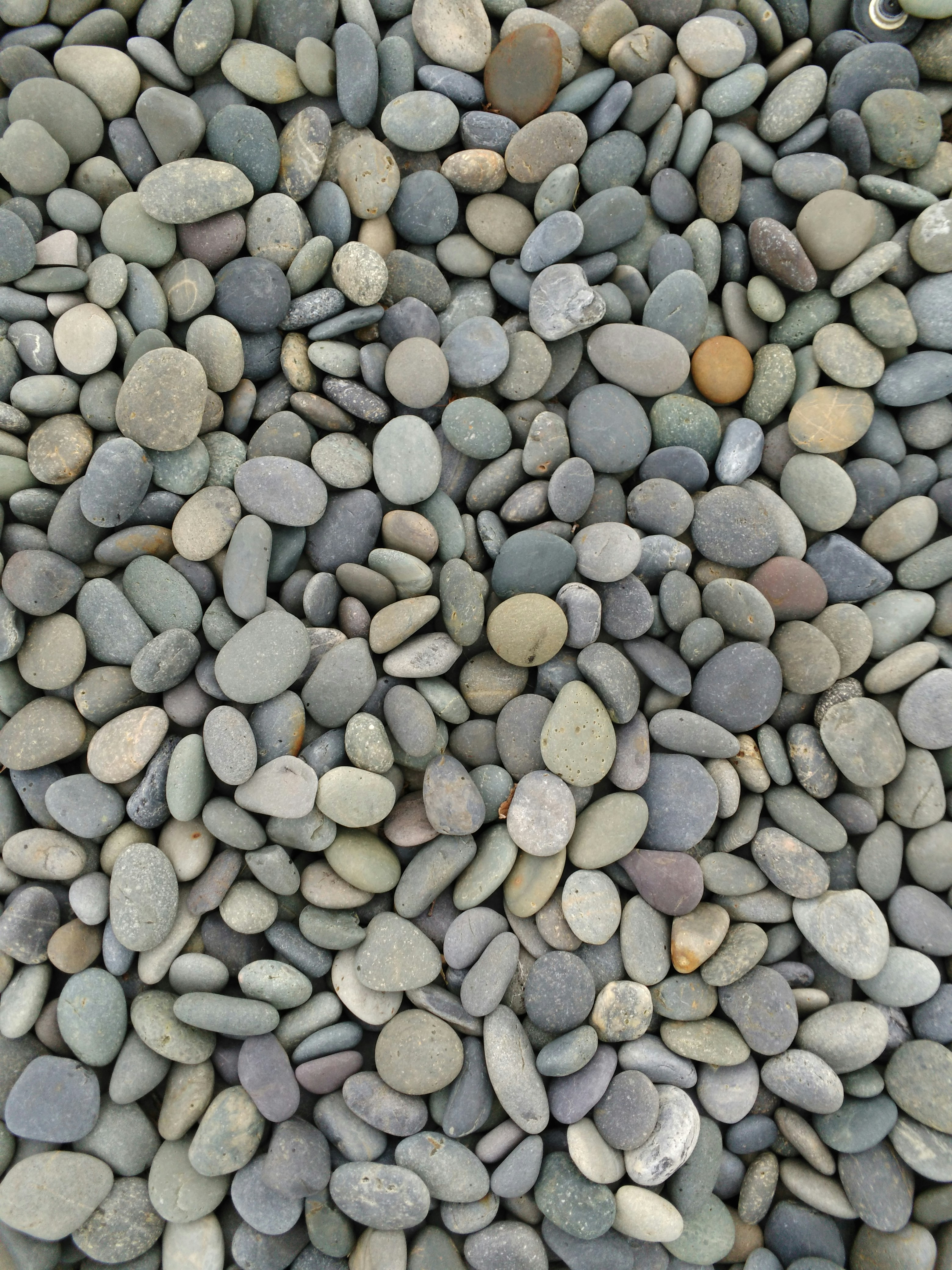 Free Unsplash photo from Krish T