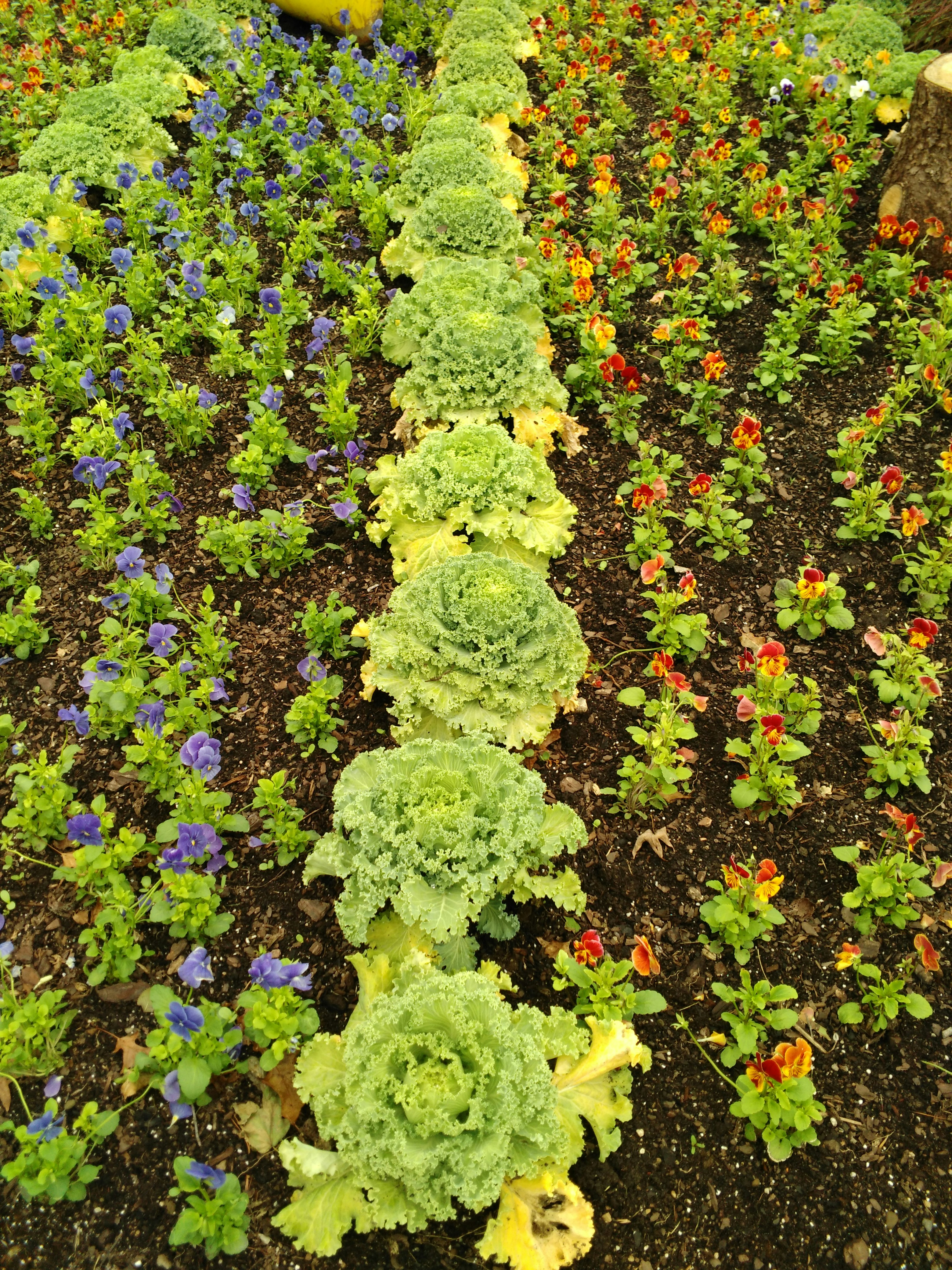 Free Unsplash photo from Krish T