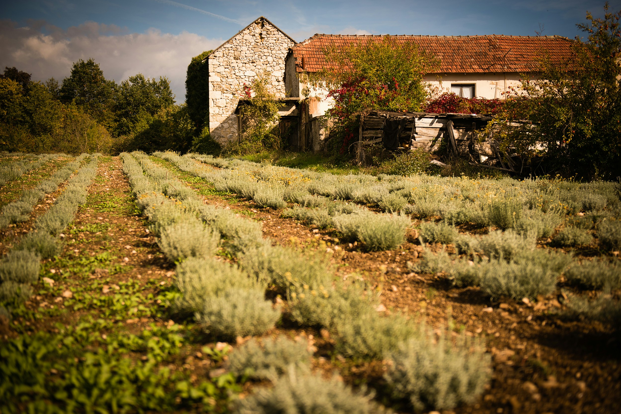 Free Unsplash photo from Kristina M M