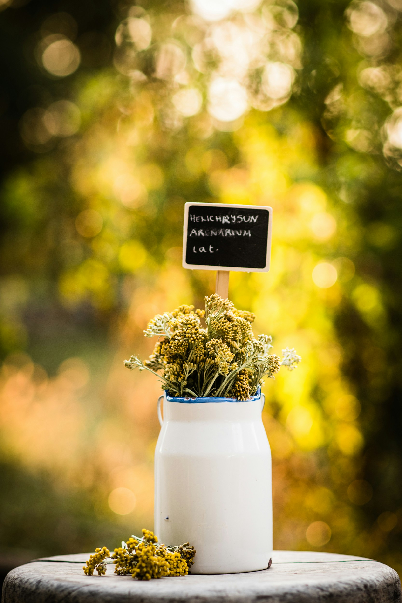 Free Unsplash photo from Kristina M M