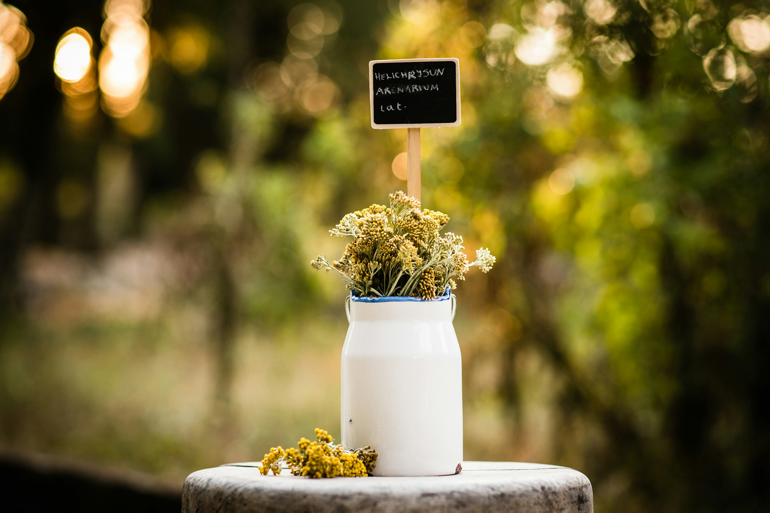 Free Unsplash photo from Kristina M M