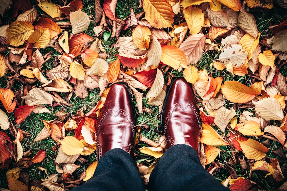 personne portant des chaussures brunes debout sur des feuilles brunes