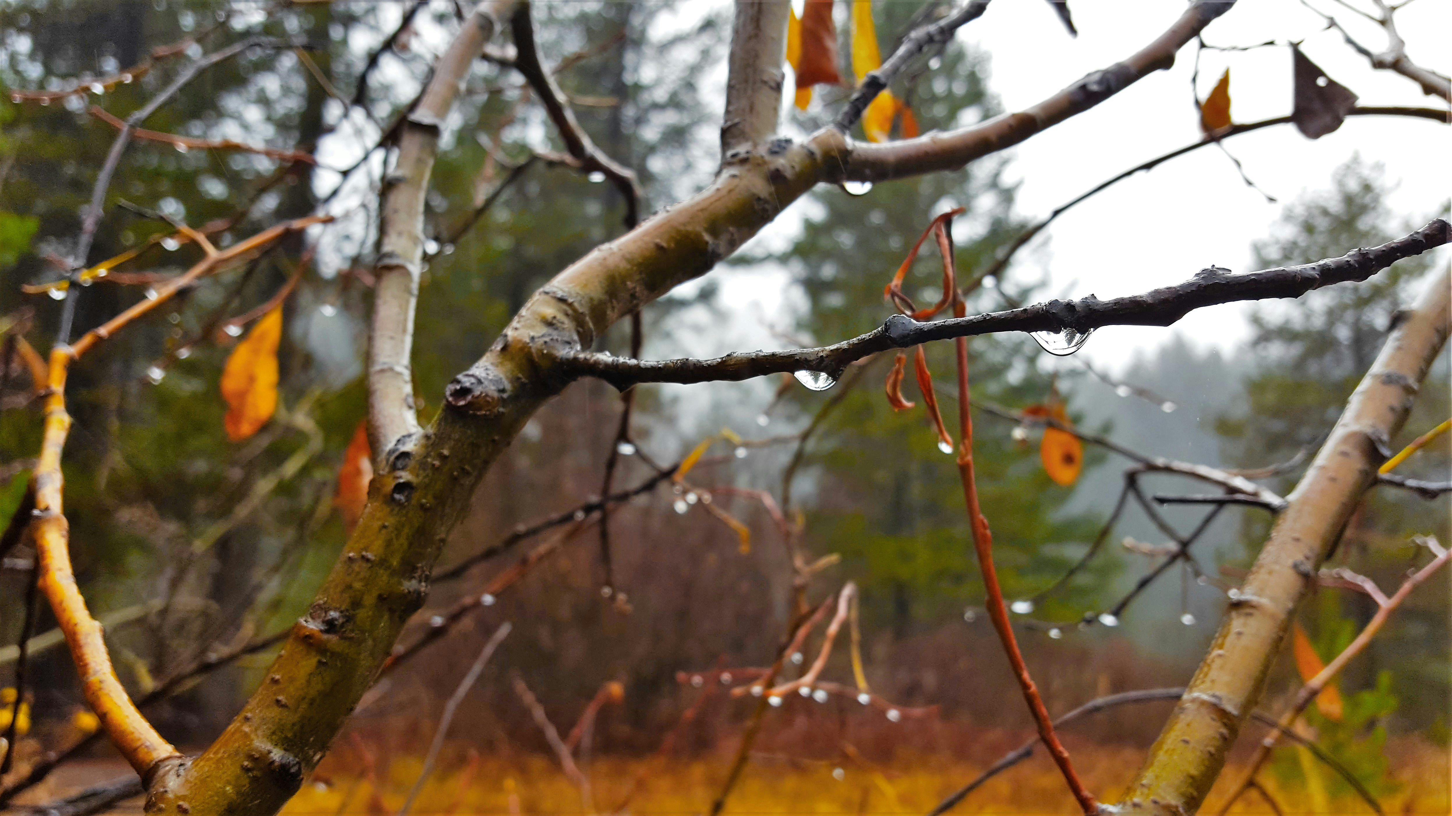 Free Unsplash photo from McKenzie Etchart