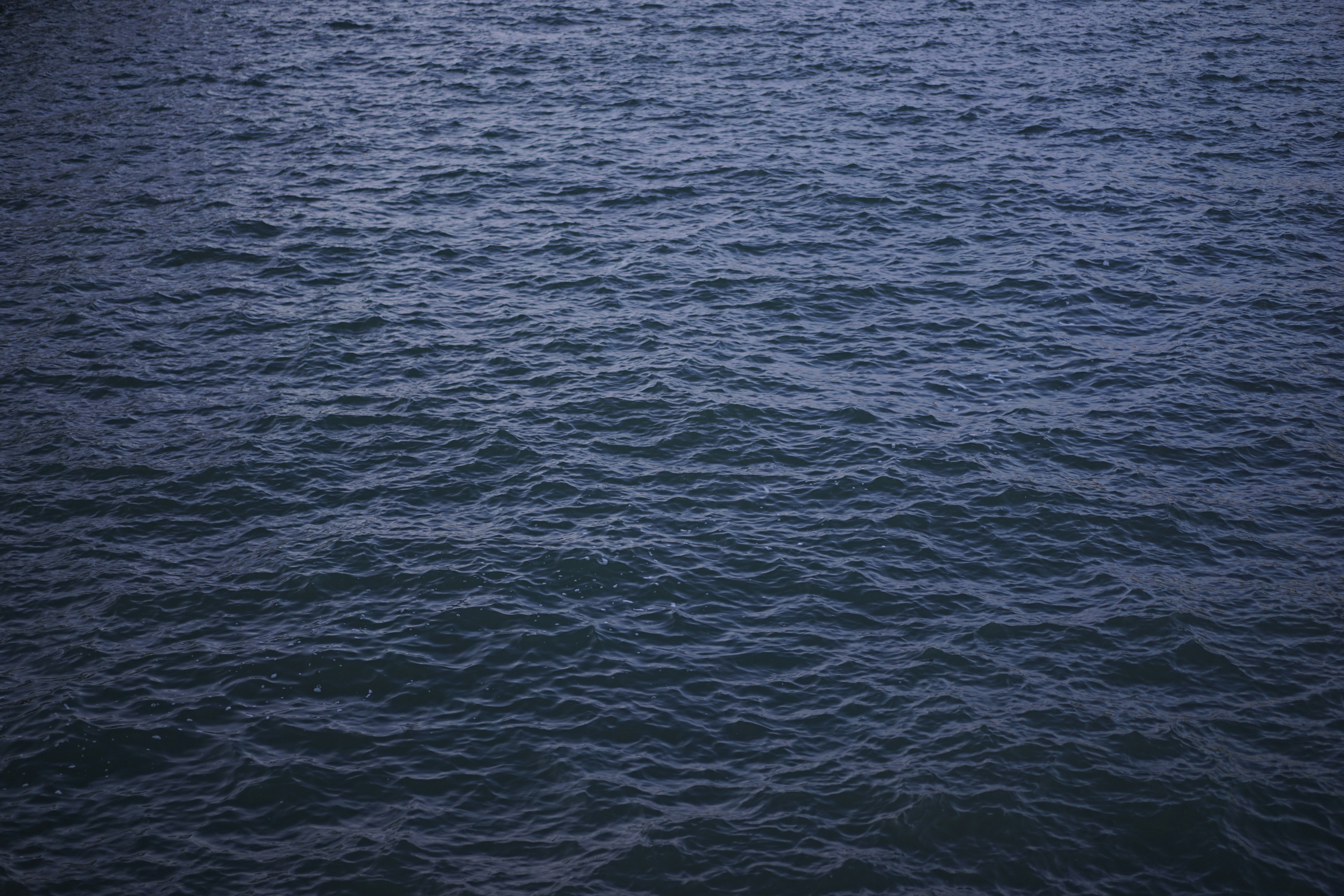 Free Unsplash photo from William Felker