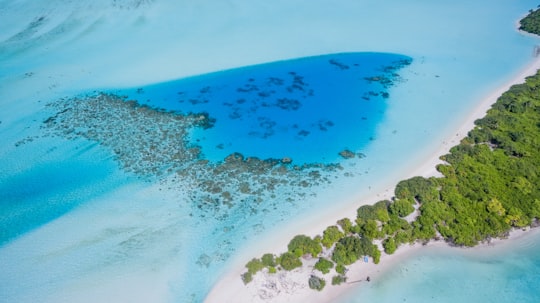 aerial photo of island during daytime in Kudahuvadhoo Maldives