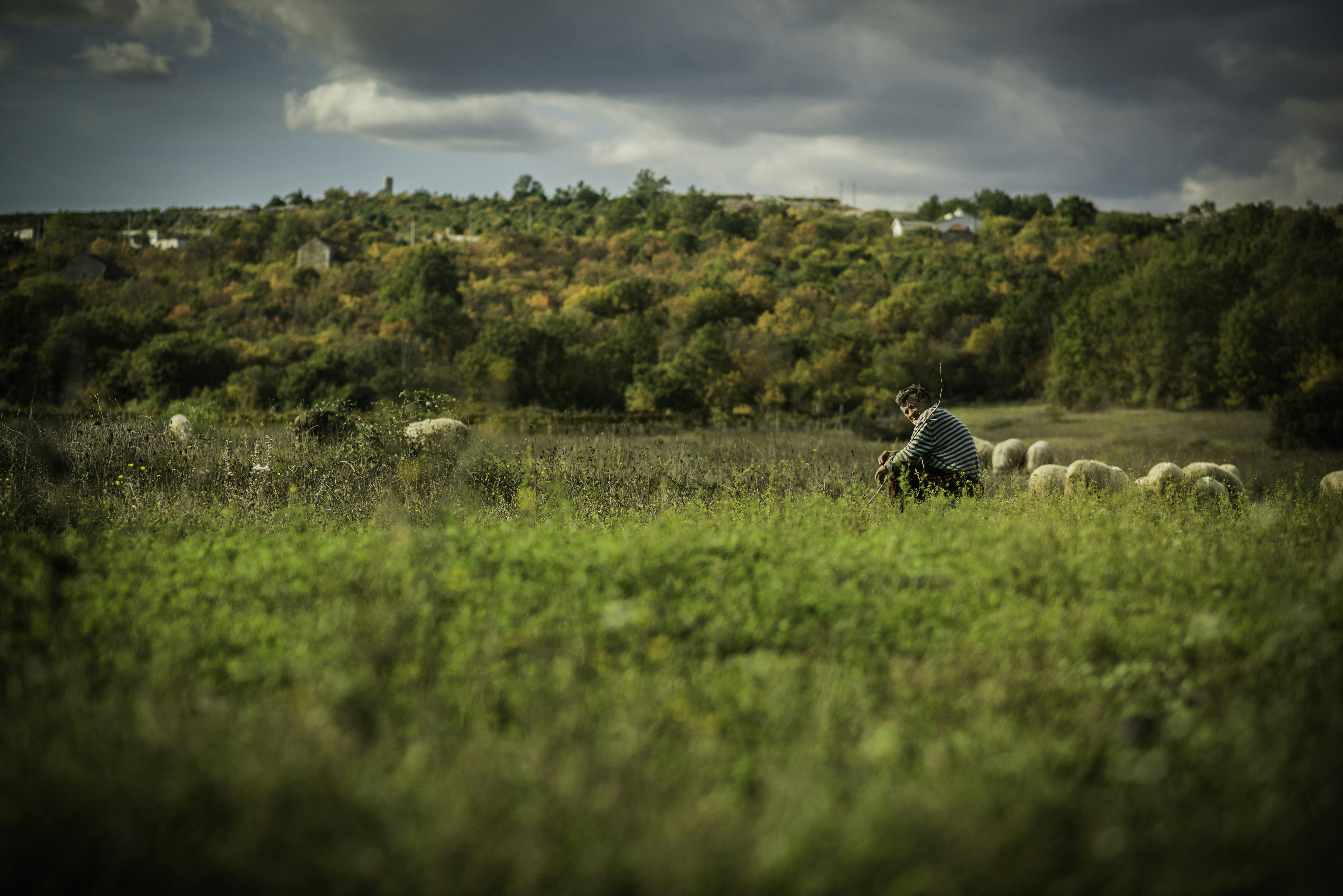 Free Unsplash photo from Kristina M M